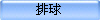 排球