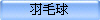 羽毛球